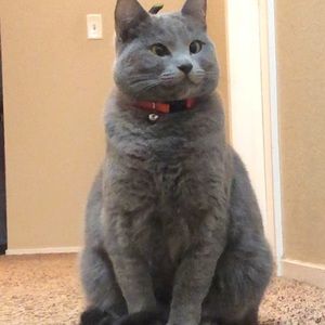 Meet your Posher, Annalise